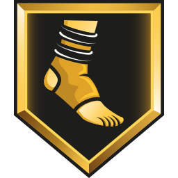 N24 | Badges: Ankle Braces